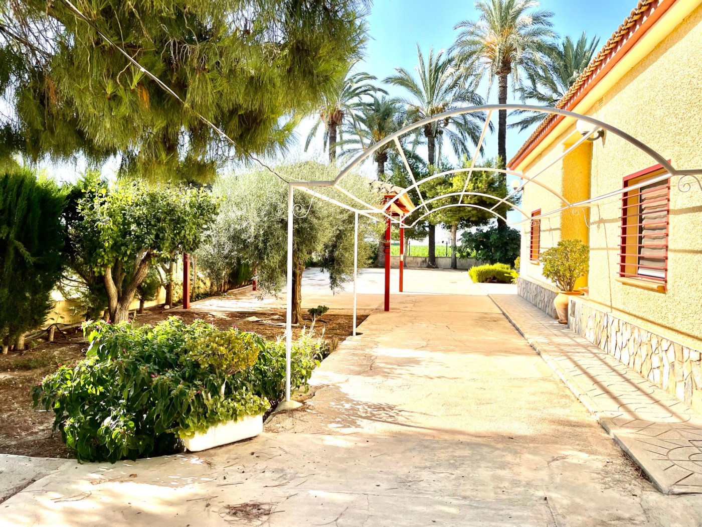 Country house with 3 bedrooms and 2 bathrooms in ELCHE | Ref: SCH-4639