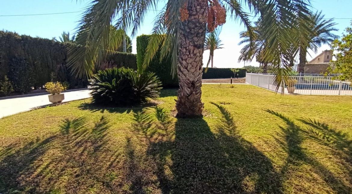 Country house with 4 bedrooms and 3 bathrooms in ELCHE | Ref: SCH-4868