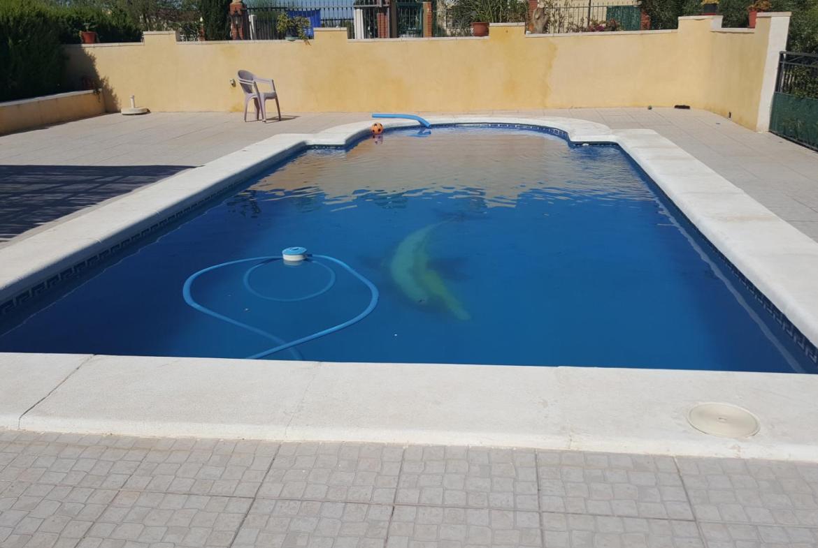 Country house with 5 bedrooms and 2 bathrooms in ALBATERA | Ref: SCH-2886