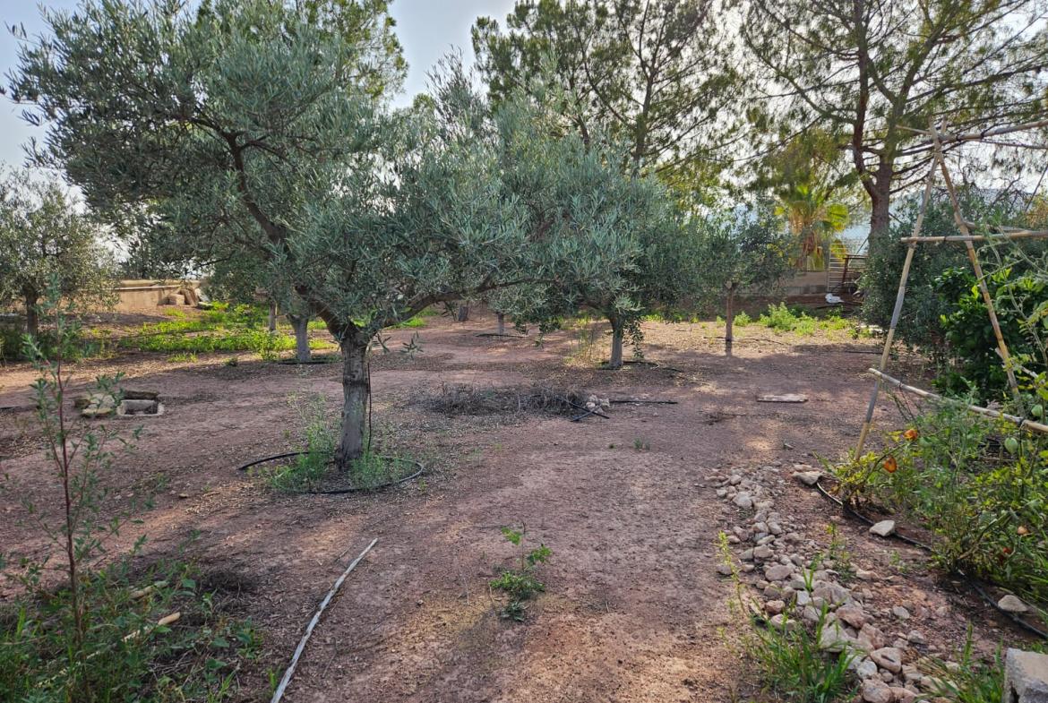 Country house with 4 bedrooms and 3 bathrooms in NOVELDA | Ref: SCH-5039