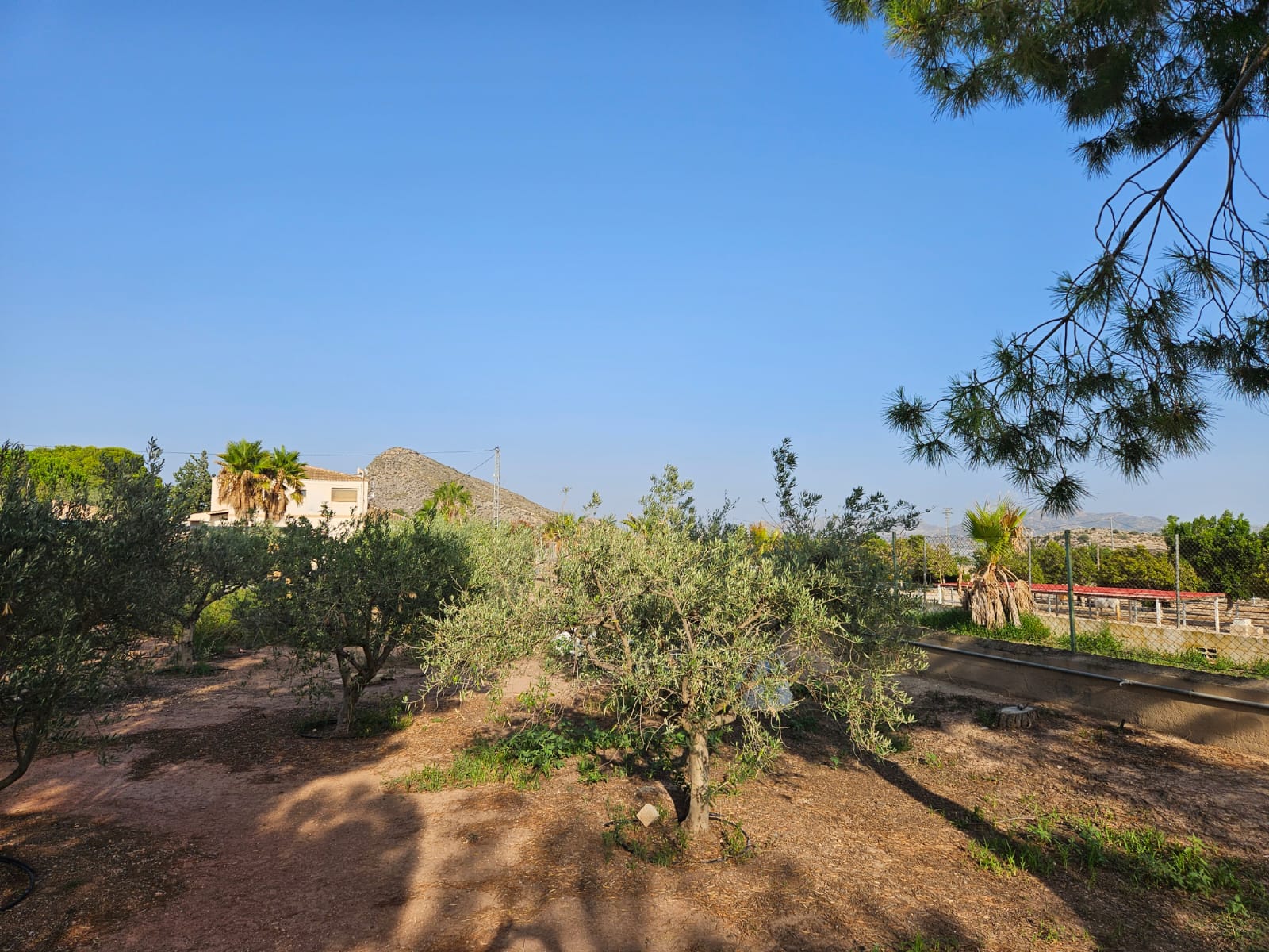 Country house with 4 bedrooms and 3 bathrooms in NOVELDA | Ref: SCH-5039