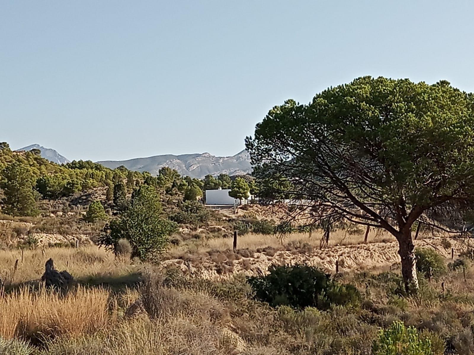 Country house with 3 bedrooms and 1 bathroom in AGOST | Ref: SCH-5051