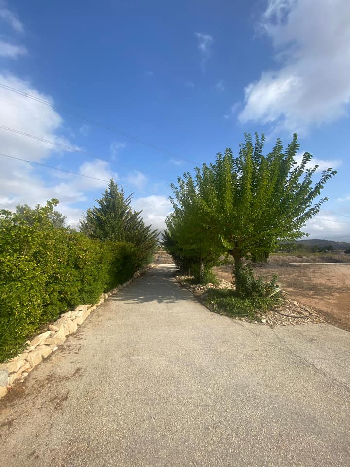 Country house with 4 bedrooms and 2 bathrooms in MONOVAR | Ref: SCH-5110