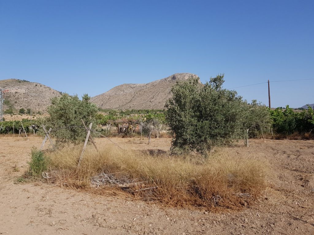 Country house with 0 bedrooms and 0 bathrooms in ASPE | Ref: SCH-4024
