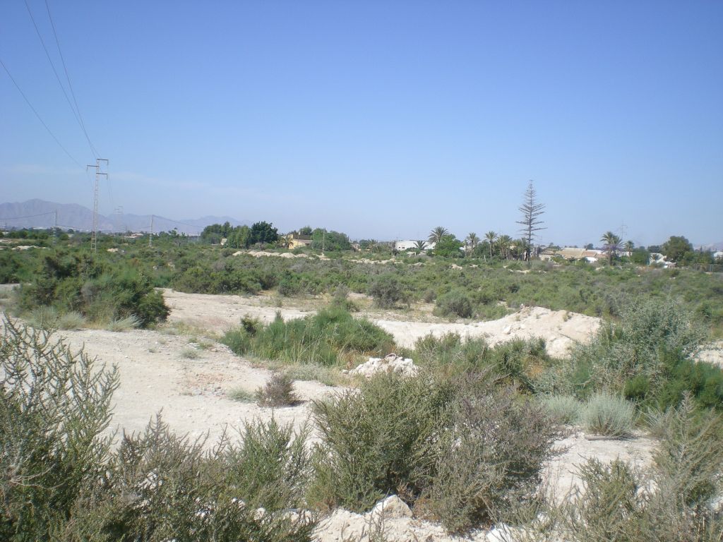 Plot in CREVILLENTE