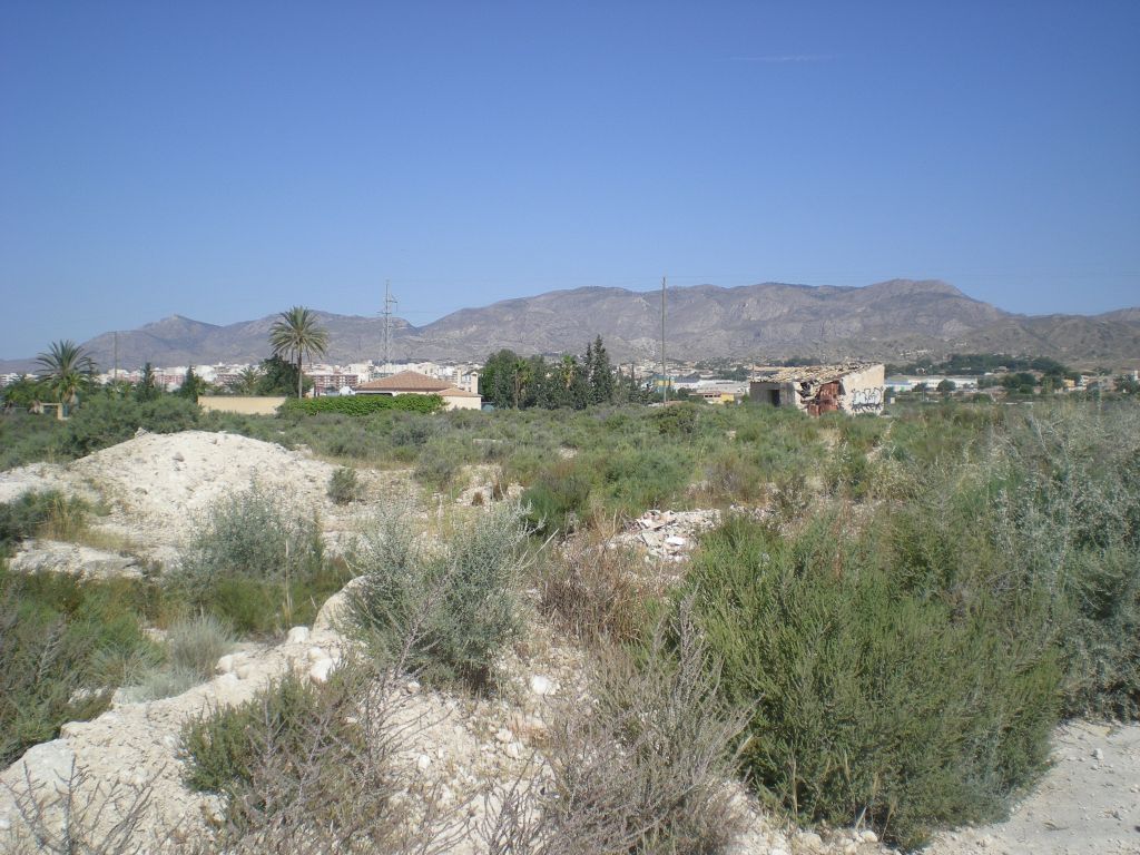 Plot in CREVILLENTE