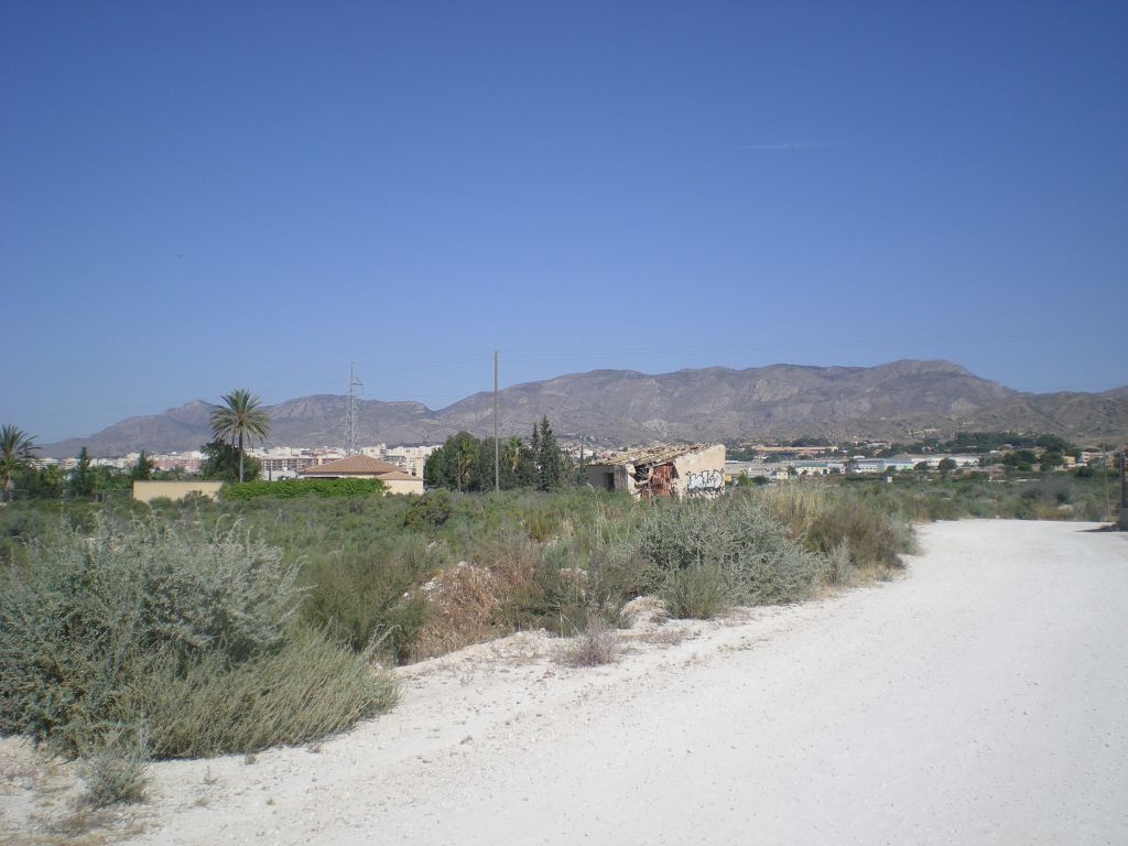 Plot in CREVILLENTE