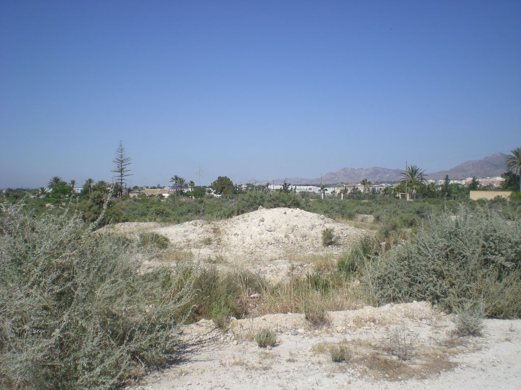 Plot in CREVILLENTE