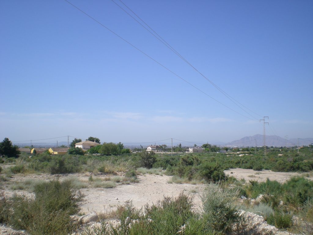 Plot in CREVILLENTE