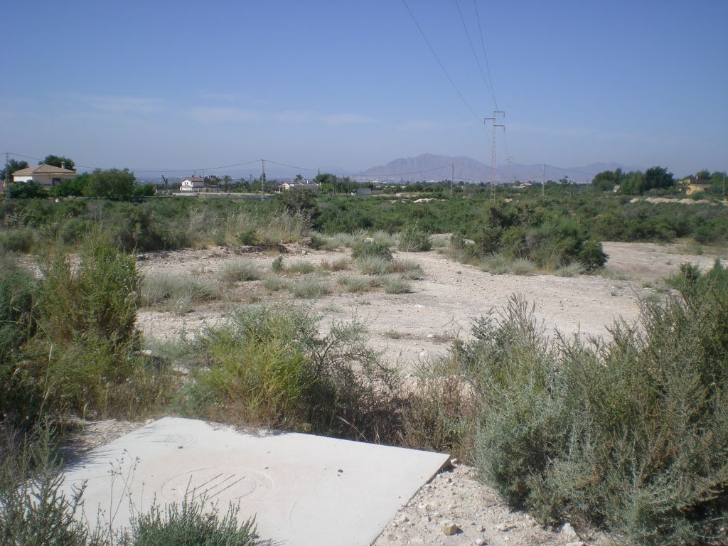 Plot in CREVILLENTE