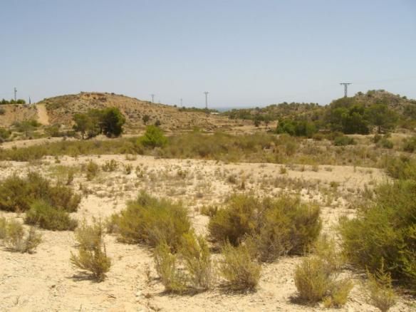 Plot in CREVILLENTE
