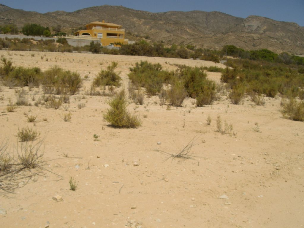 Plot in CREVILLENTE