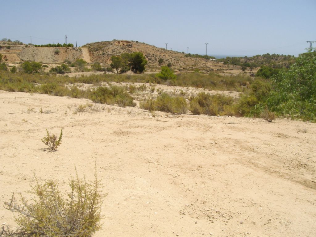 Plot in CREVILLENTE