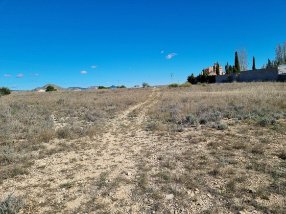 Plot in CAUDETE