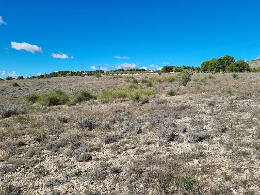 Plot in CAUDETE
