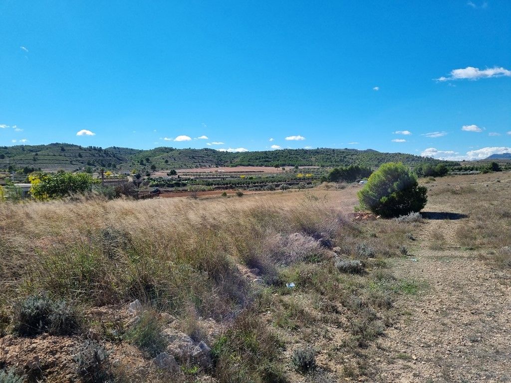Plot in CAUDETE