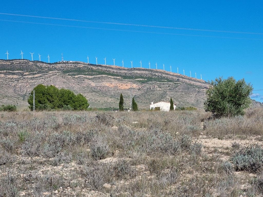 Plot in CAUDETE