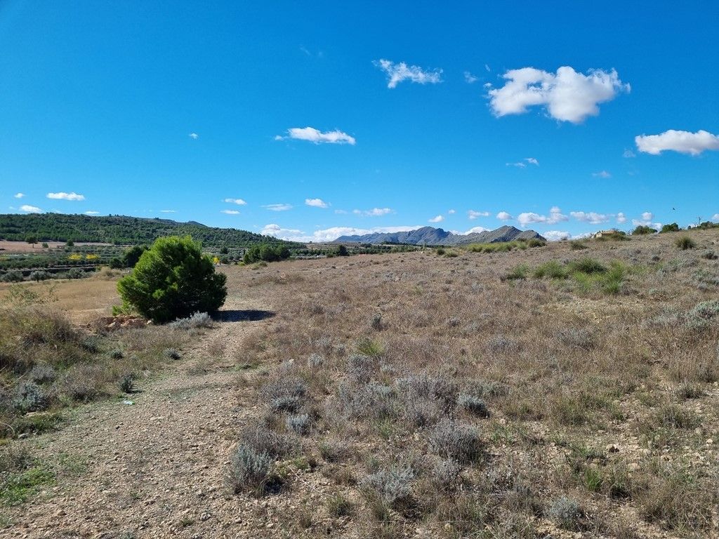 Plot in CAUDETE