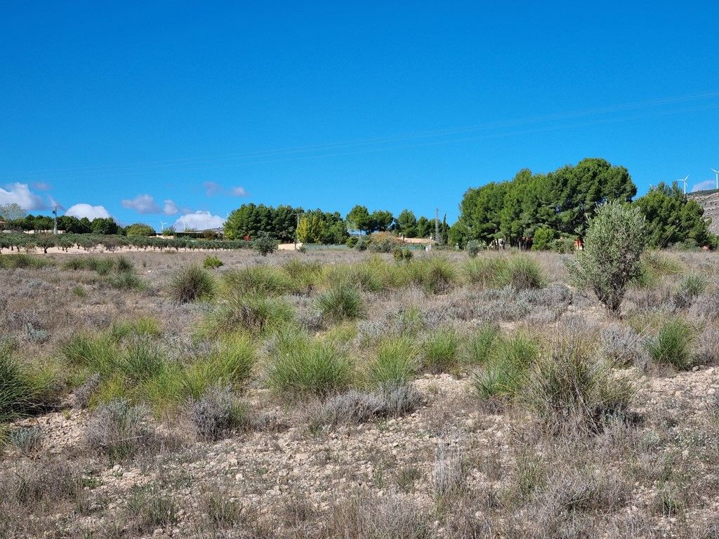 Plot in CAUDETE