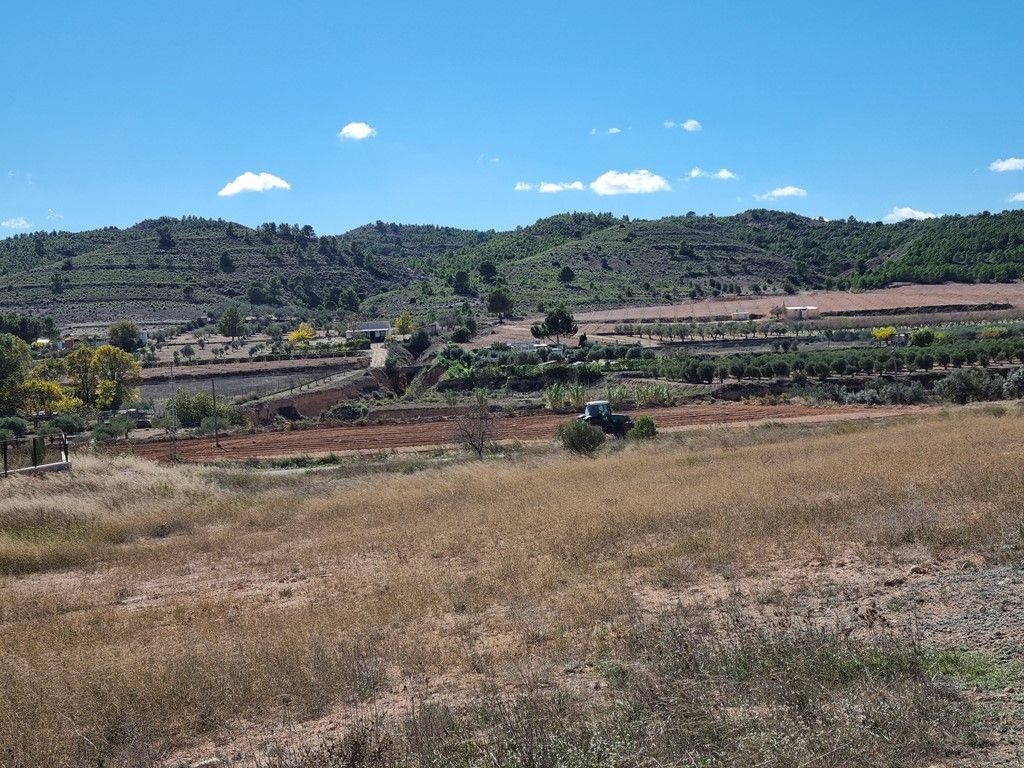 Plot in CAUDETE
