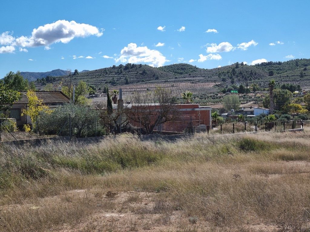 Plot in CAUDETE