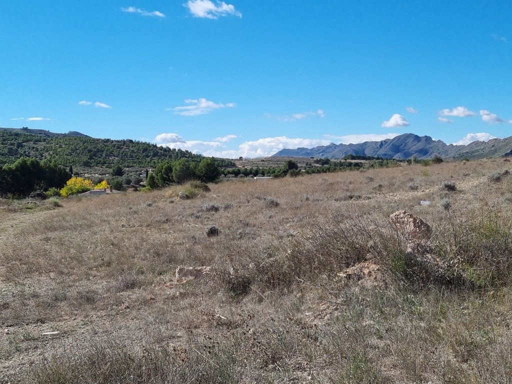 Plot in CAUDETE