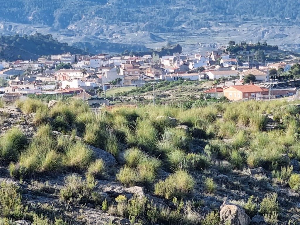 Plot in MACISVENDA