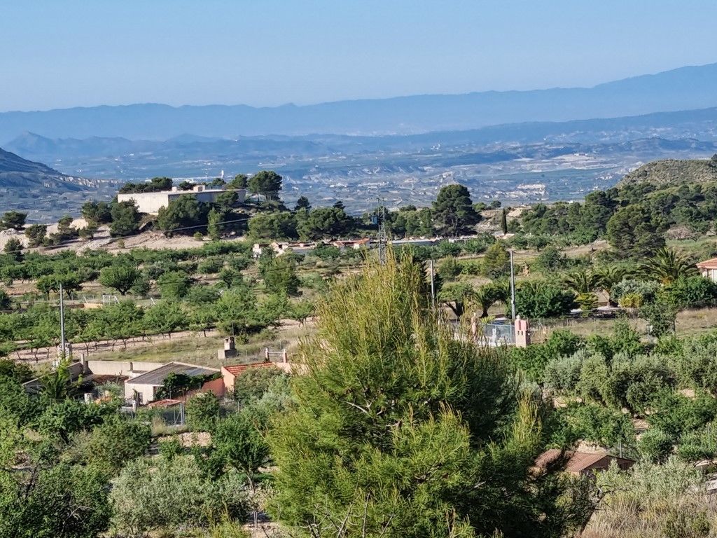 Plot in MACISVENDA