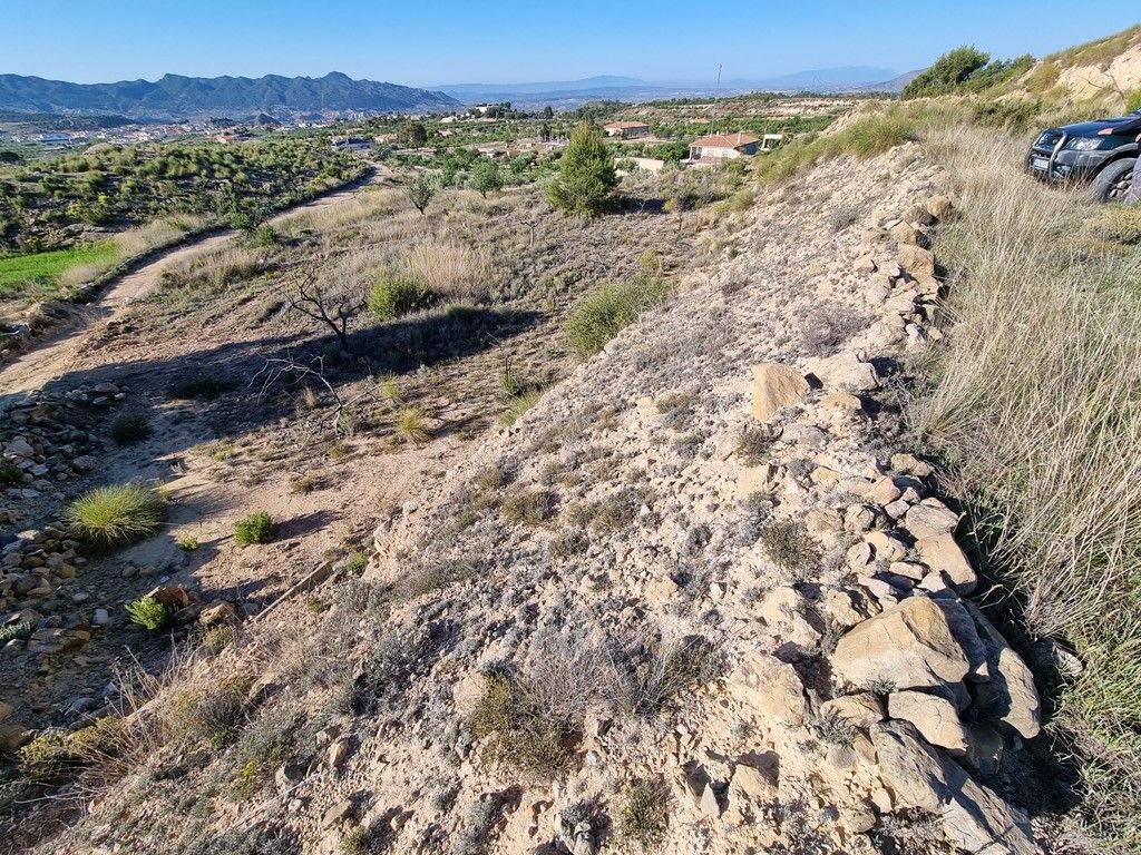 Plot in MACISVENDA