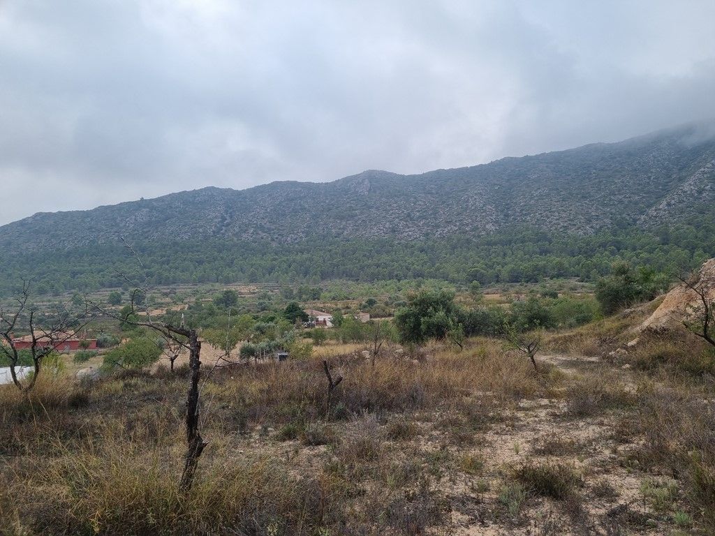 Country house with 3 bedrooms and 2 bathrooms in LA ROMANA | Ref: SCH-4841