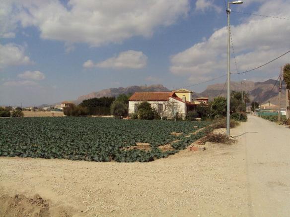 Country house with 4 bedrooms and 1 bathroom in ORIHUELA | Ref: SCH-4149