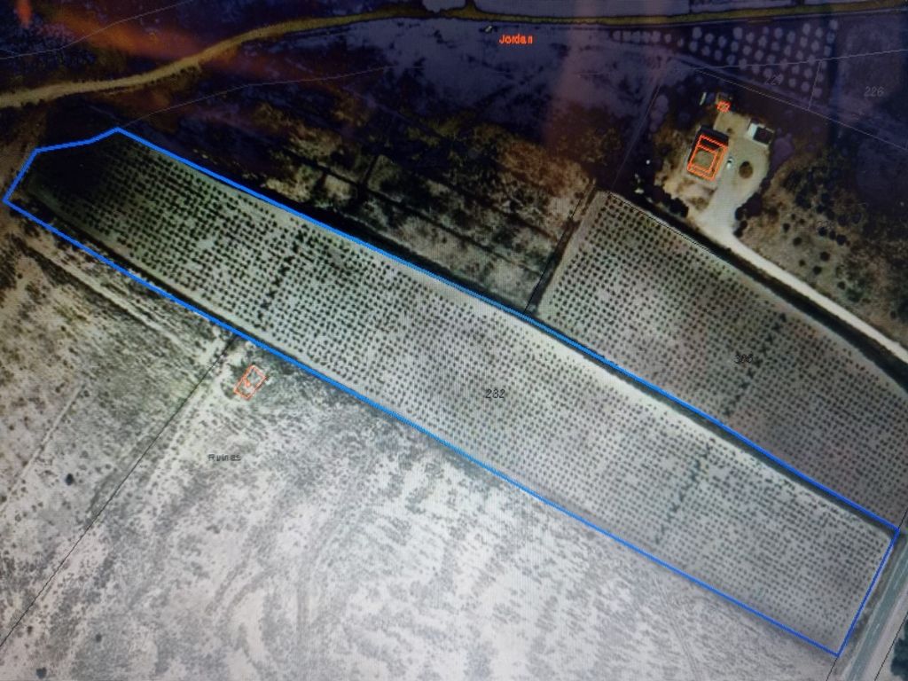 Plot in VILLENA