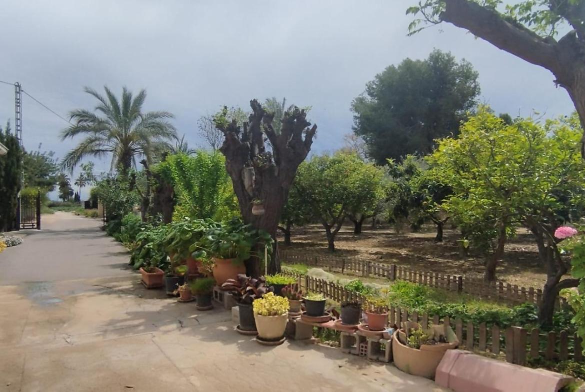 Country house with 4 bedrooms and 2 bathrooms in ELCHE | Ref: SCH-5167