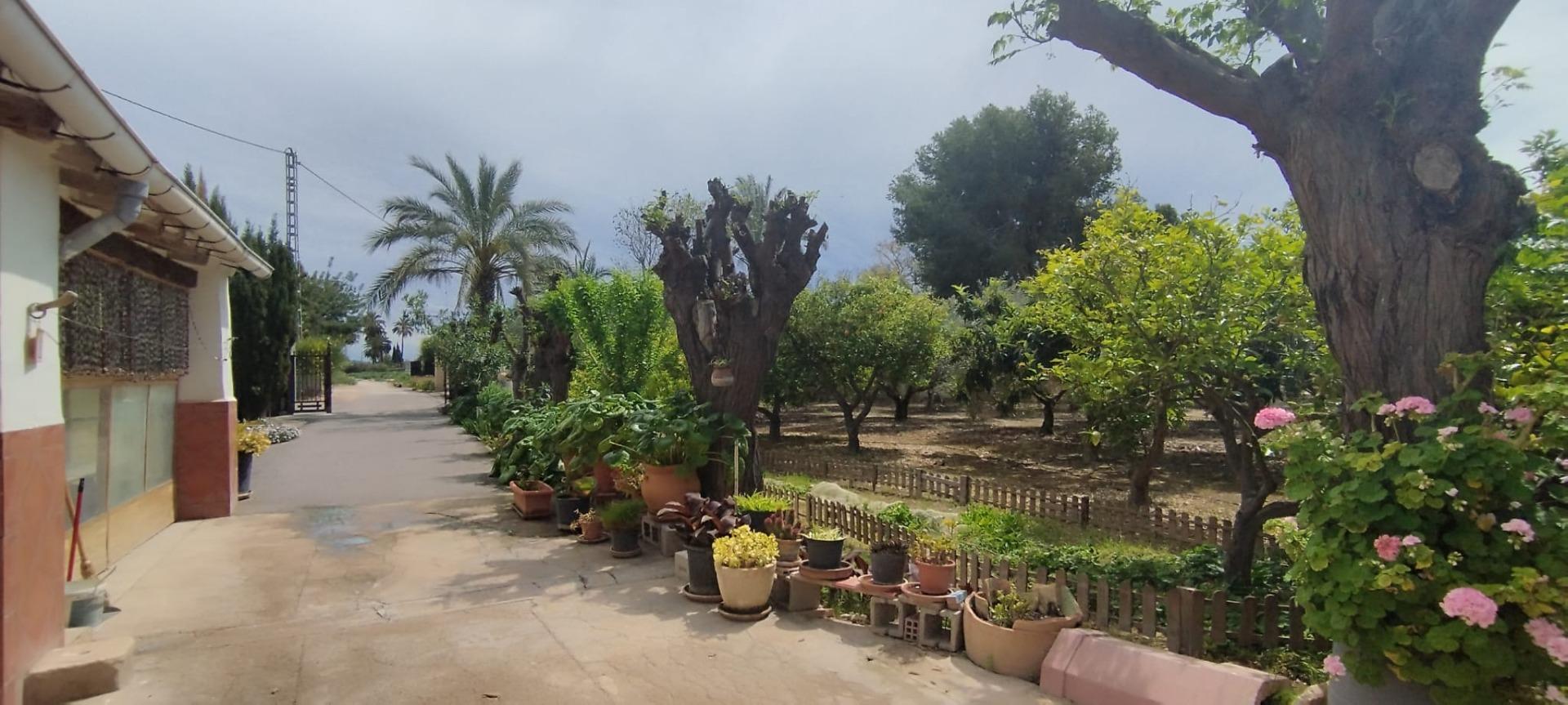 Country house with 4 bedrooms and 2 bathrooms in ELCHE | Ref: SCH-5167