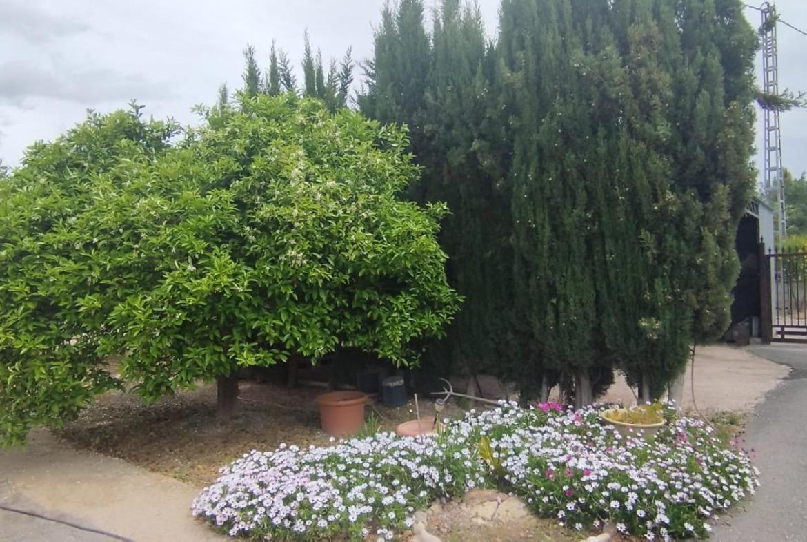Country house with 4 bedrooms and 2 bathrooms in ELCHE | Ref: SCH-5167