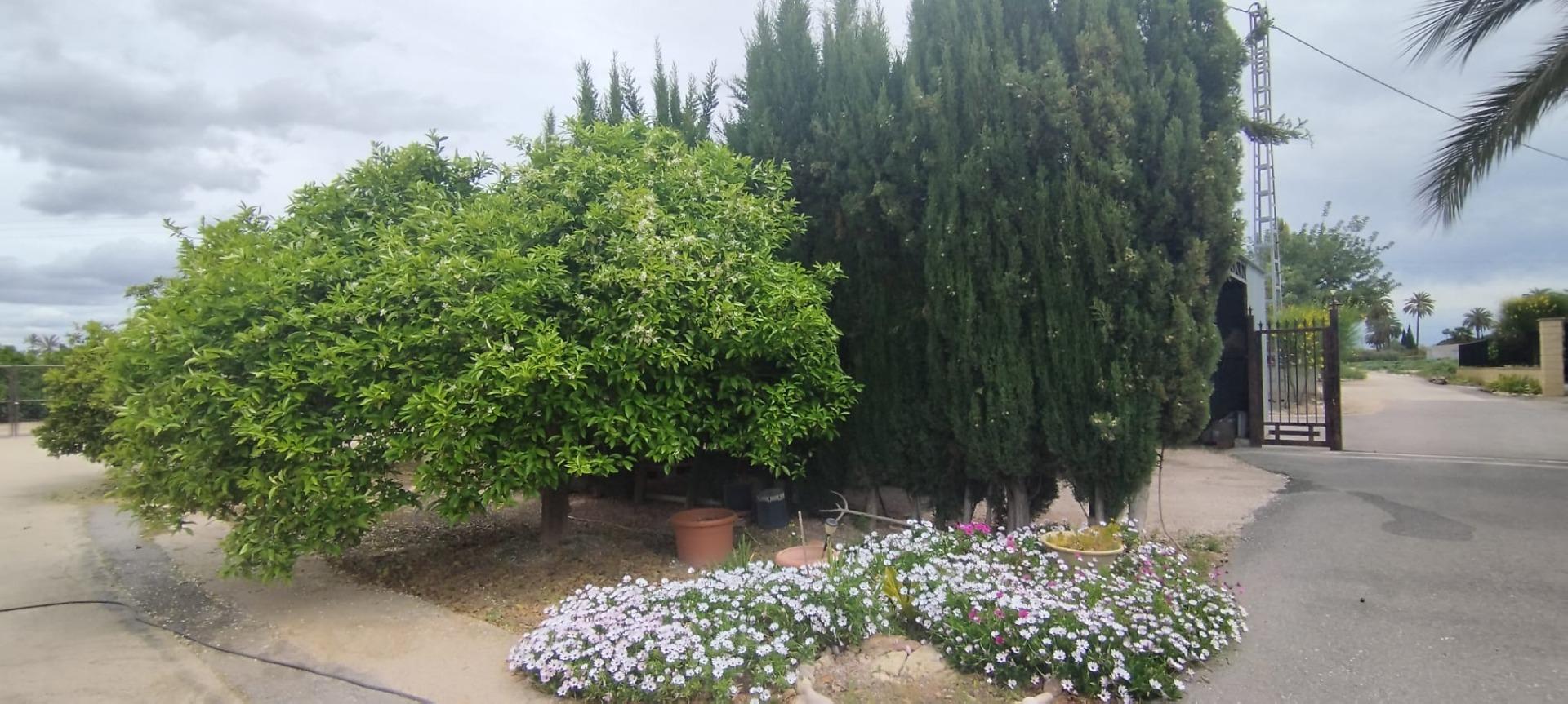 Country house with 4 bedrooms and 2 bathrooms in ELCHE | Ref: SCH-5167