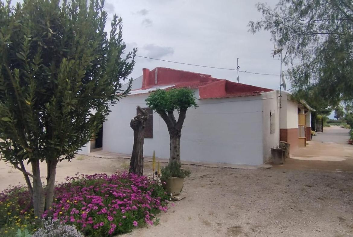 Country house with 4 bedrooms and 2 bathrooms in ELCHE | Ref: SCH-5167