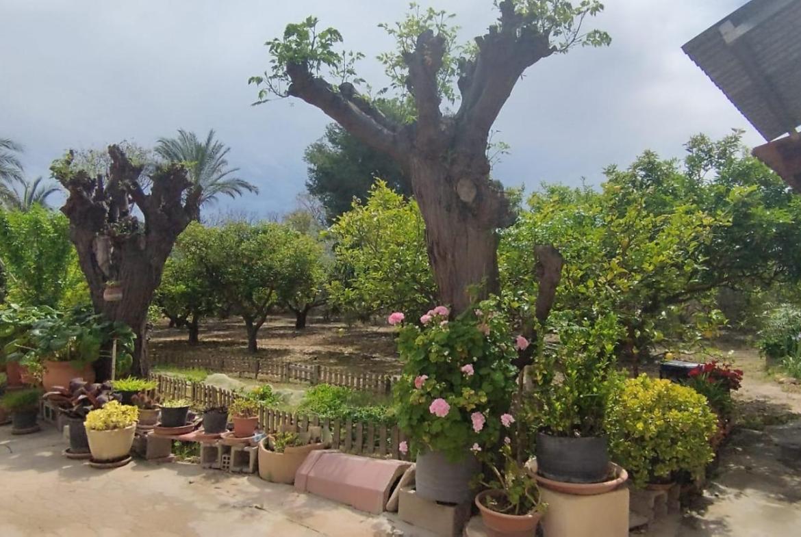 Country house with 4 bedrooms and 2 bathrooms in ELCHE | Ref: SCH-5167