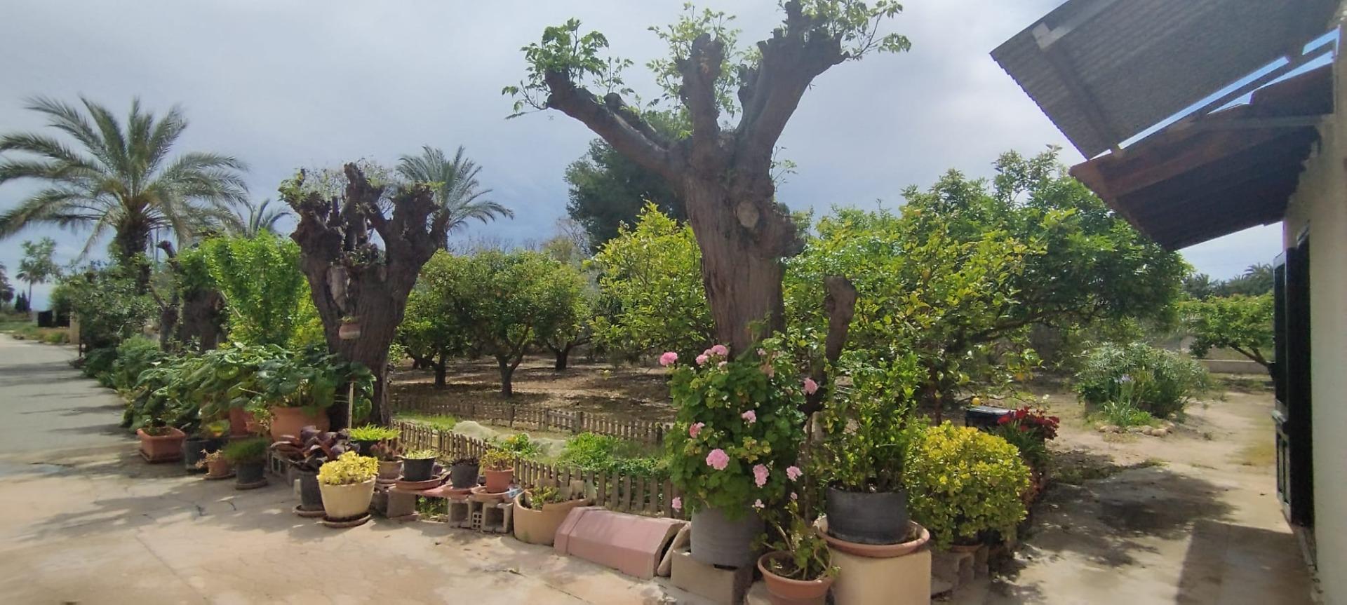 Country house with 4 bedrooms and 2 bathrooms in ELCHE | Ref: SCH-5167