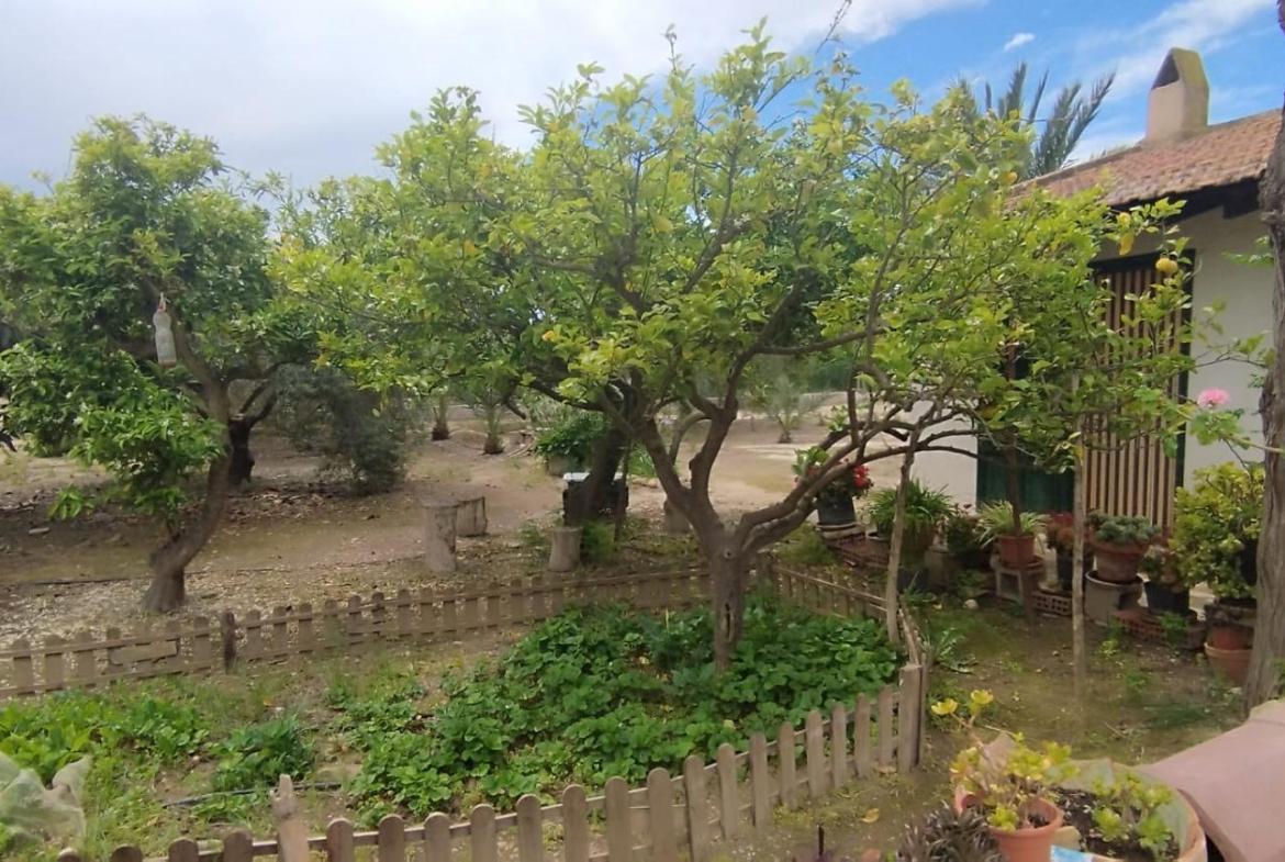 Country house with 4 bedrooms and 2 bathrooms in ELCHE | Ref: SCH-5167
