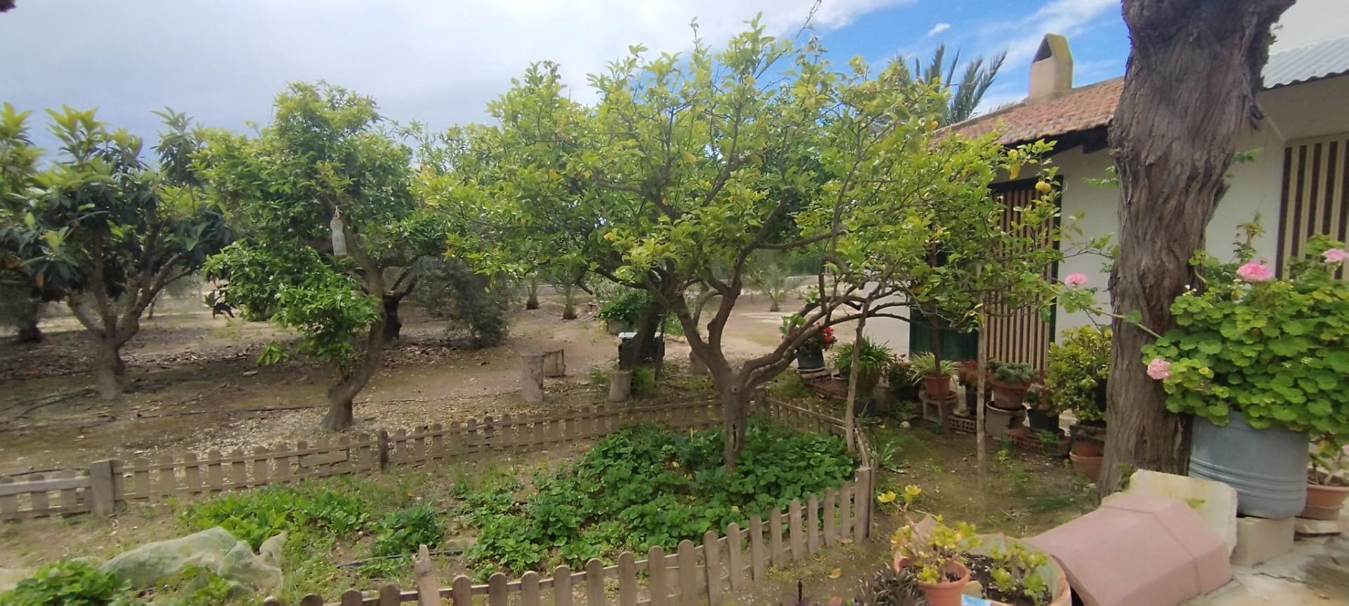 Country house with 4 bedrooms and 2 bathrooms in ELCHE | Ref: SCH-5167