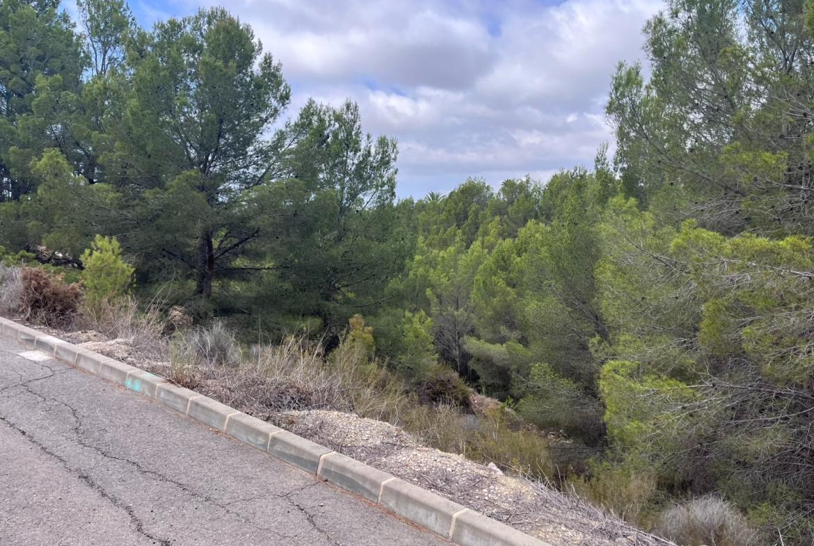 Plot in Altea