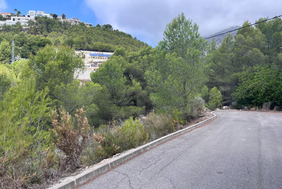 Plot in Altea