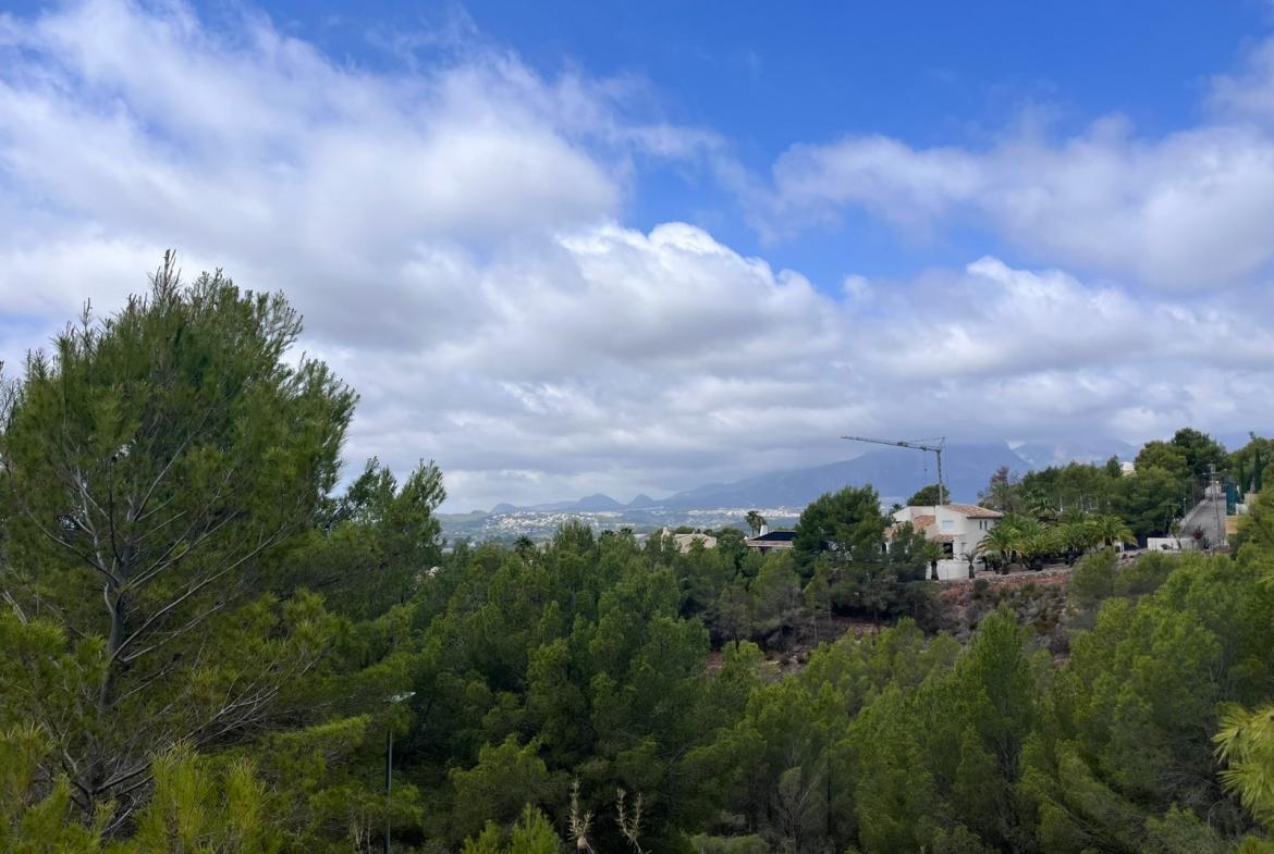Plot in Altea