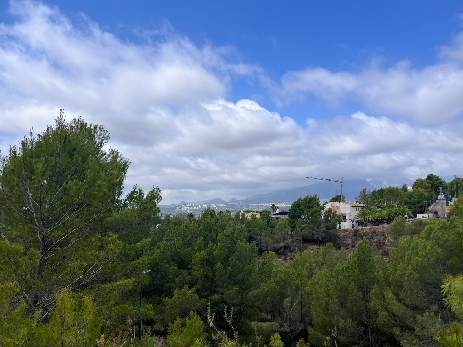o_1iode4ek31ptg1pob1v3h1u5s14s02b.jpeg Plot in Altea
