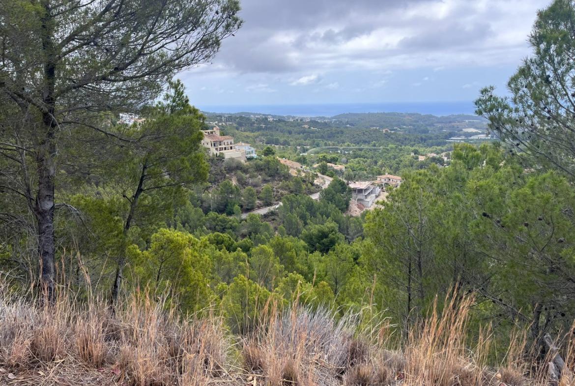 Plot in Altea