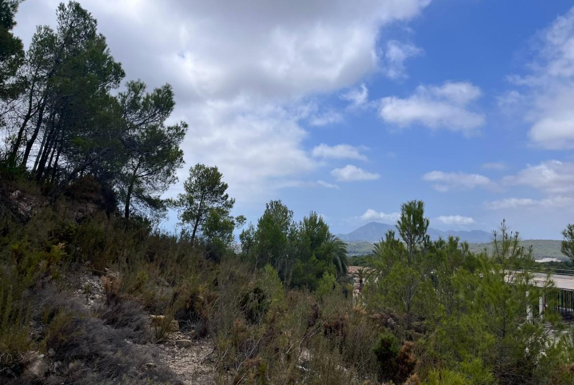 Plot in Altea
