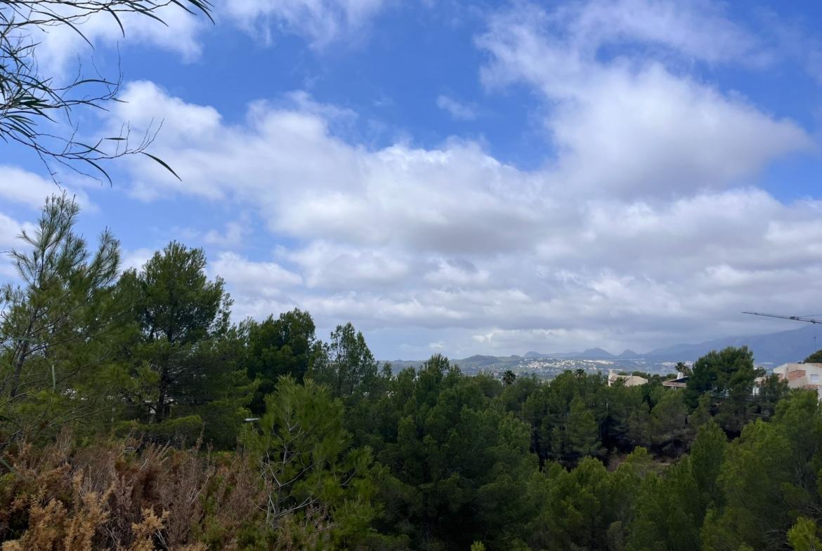 Plot in Altea