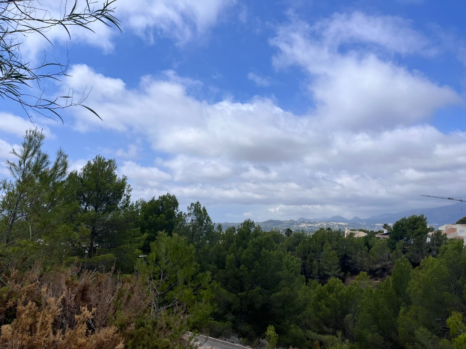 o_1iode4ek3h0m1m2fvjpak91nje2c.jpeg Plot in Altea