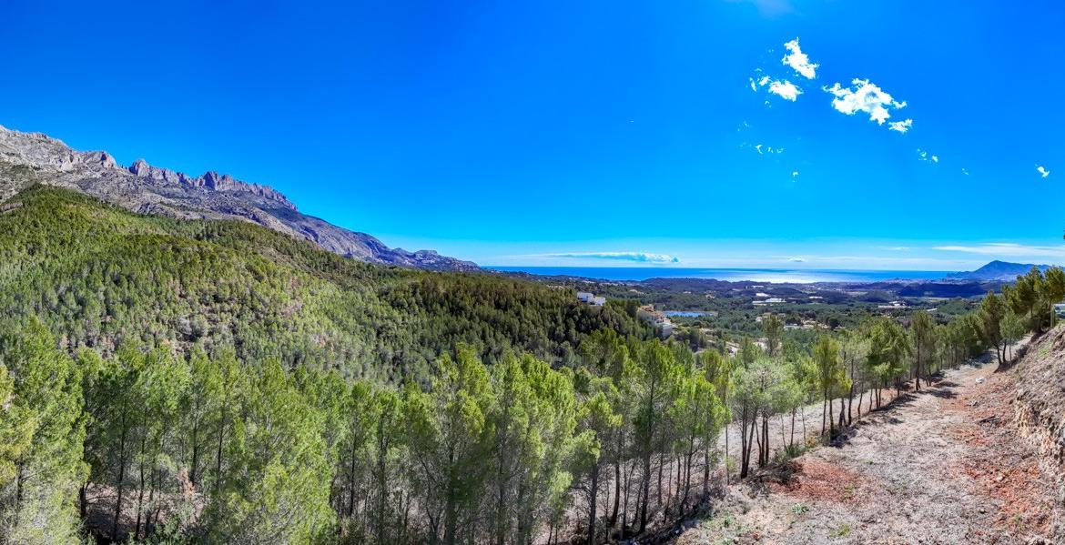 Plot in Altea